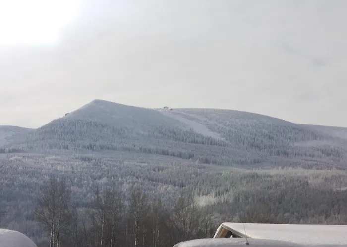 Apartament Domino Apartment